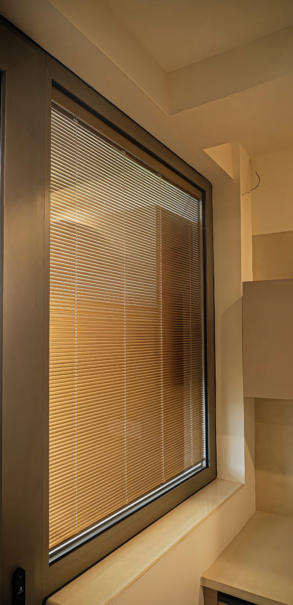 Integrated Blinds